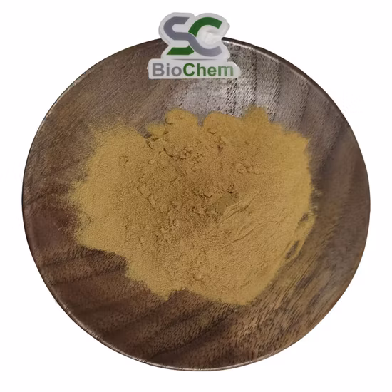 China Pure 100% Natural Dente de Leão Planta/Flor/Extrato de Folha de Erva